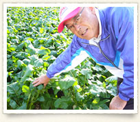 近江の豊かな自然に育まれた野菜たち